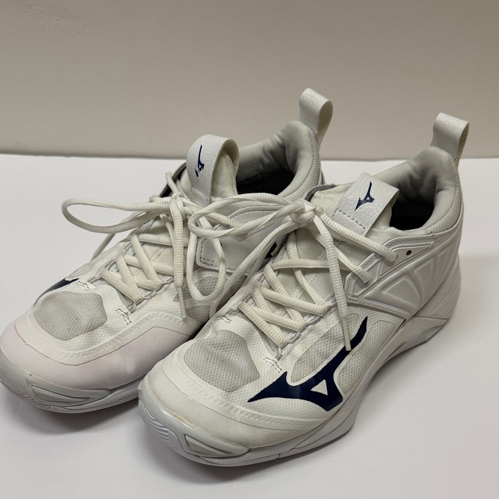 Mizuno Wave Momentum 2 Volleyball Shoes, Size 9